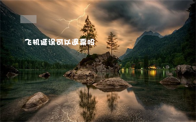 飞机延误可以退票吗