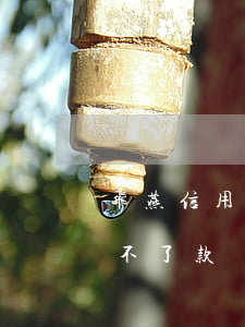 飞燕信用卡逾期还能贷款吗(信用飞为什么还不了款)