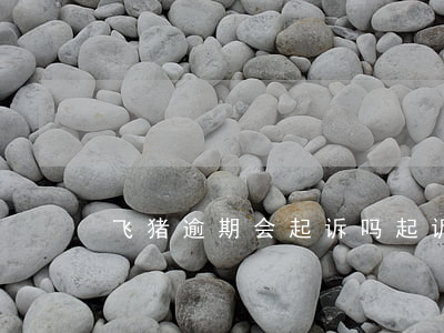 飞猪逾期会起诉吗(起诉飞猪平台还是商家)