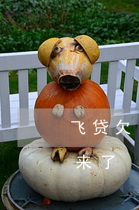 飞贷欠了五万不想还款了(飞贷还清了借不出来了)