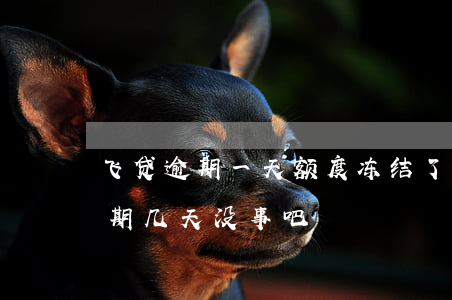 飞贷逾期一天额度冻结了怎么办-飞贷款逾期几天没事吧