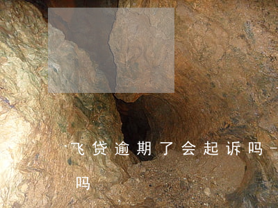 飞贷逾期了会起诉吗-达飞贷款逾期上征信吗