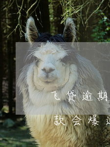 飞贷逾期协商还款-信用飞逾期一天协商还款会爆通讯录吗