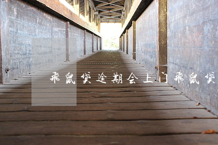 飞鼠贷逾期会上门(飞鼠贷逾期会上门)