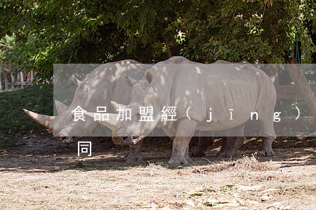 食品加盟經(jīng)營(yíng)合同