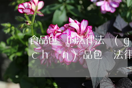 食品包裝的法律法規(guī)文件(產(chǎn)品包裝法律法規(guī))