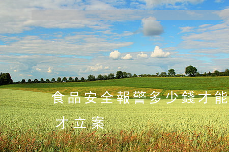 食品安全報警多少錢才能立案(報警要多少錢才立案)