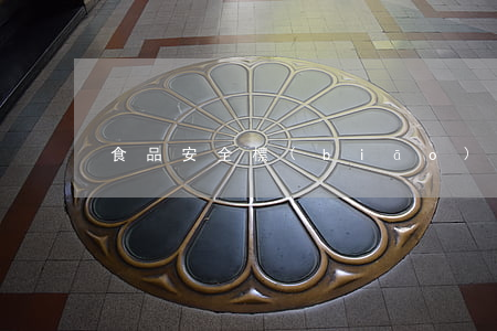 食品安全標(biāo)準(zhǔn)是
