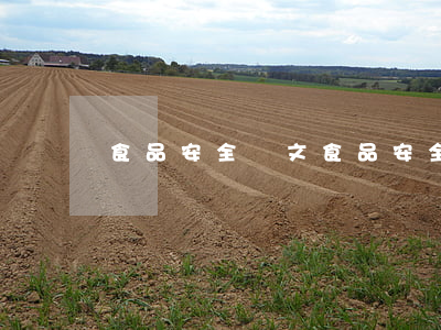 食品安全論文(食品安全論文8000字)