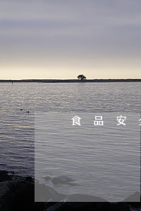 食品安全責任書格式
