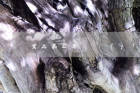 食品第三方檢測機(jī)構(gòu)