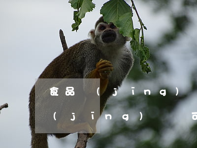 食品經(jīng)營許可證多少錢(食品經(jīng)營許可證多少錢能辦下來)