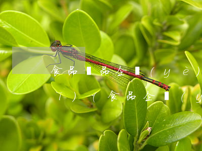 食品藥品企業(yè)安全法律法規(guī)(食品企業(yè)安全生產(chǎn)的法律法規(guī)都有哪些)