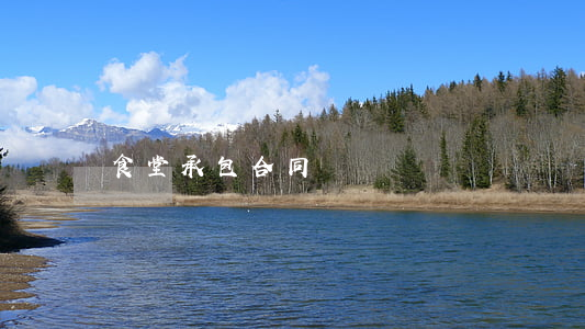 食堂承包合同書