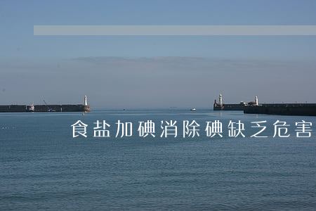 食盐加碘消除碘缺乏危害管理条例