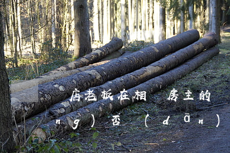 飯店老板在相鄰房主的墻上打煙洞應(yīng)否擔(dān)責(zé)