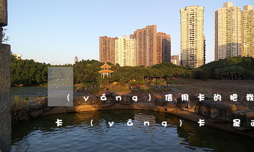 養(yǎng)信用卡的把我卡整逾期了(以卡養(yǎng)卡還是逾期慢慢還)