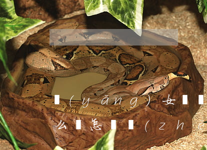 養(yǎng)女搶繼承權(quán)怎么辦(怎樣爭(zhēng)奪女兒撫養(yǎng)權(quán))