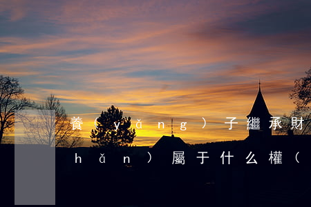 養(yǎng)子繼承財(cái)產(chǎn)屬于什么權(quán)(養(yǎng)子的繼承權(quán))