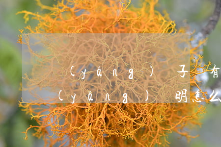 養(yǎng)孫子沒有領(lǐng)養(yǎng)證明怎么繼承房子(沒有辦理收養(yǎng)登記的孩子有繼承權(quán)嗎)
