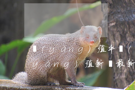 養(yǎng)殖平臺(tái)逾期(養(yǎng)殖新聞 最新新聞)