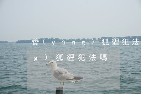 養(yǎng)狐貍犯法嗎(中國養(yǎng)狐貍犯法嗎)