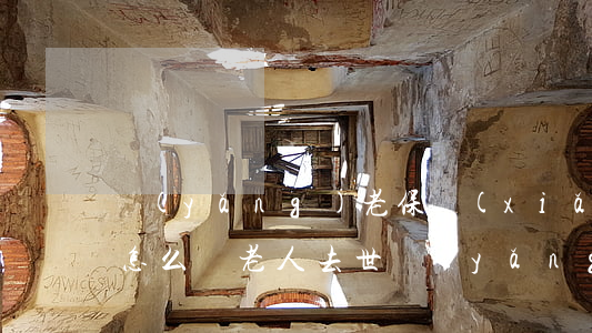 養(yǎng)老保險(xiǎn)人死了怎么辦(老人去世養(yǎng)老險(xiǎn)怎么辦)