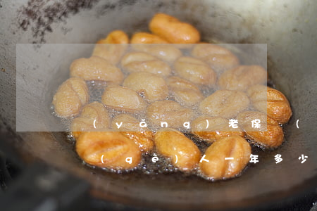 養(yǎng)老保險(xiǎn)怎么交 個(gè)人一年多少錢(養(yǎng)老保險(xiǎn)怎么交)