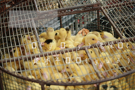 養(yǎng)老保險(xiǎn)新政策退休年齡(國(guó)家政策養(yǎng)老保險(xiǎn)年齡)