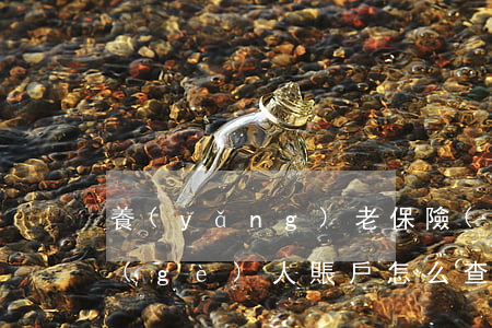 養(yǎng)老保險(xiǎn)查詢個(gè)人賬戶怎么查詢（養(yǎng)老保險(xiǎn)的作用）