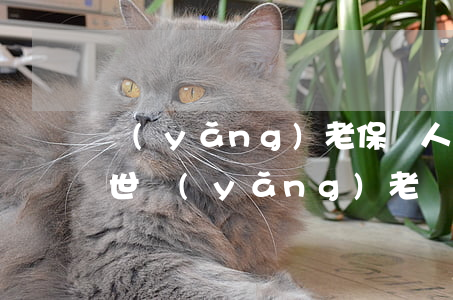 養(yǎng)老保險人死了怎么辦(老人去世養(yǎng)老險怎么辦)