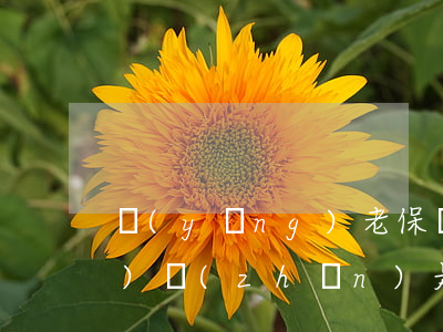 養(yǎng)老保險費繳納標(biāo)準(zhǔn)是怎樣的（養(yǎng)老金繳費標(biāo)準(zhǔn)查詢）