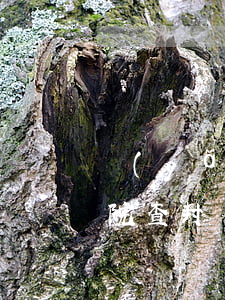 養(yǎng)老保險金法院可以査封嗎(法院查封養(yǎng)老金可以解封嗎)