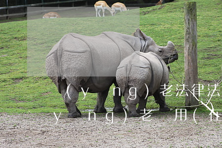 養(yǎng)老法律法規(guī)養(yǎng)老費用(在法律上養(yǎng)老費每月應該多少錢)
