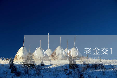 養(yǎng)老金交15年能領多少