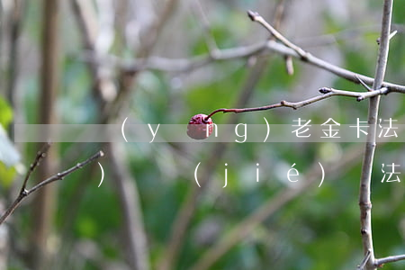養(yǎng)老金卡法院可以連續(xù)凍結(jié)嗎(法院凍結(jié)養(yǎng)老金卡,我該怎么辦?)