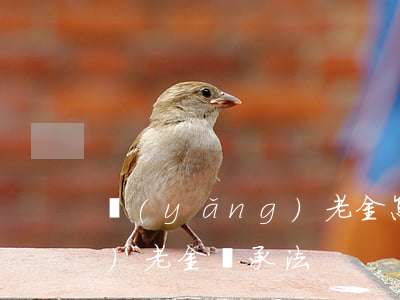 養(yǎng)老金怎么繼承(養(yǎng)老金繼承法)