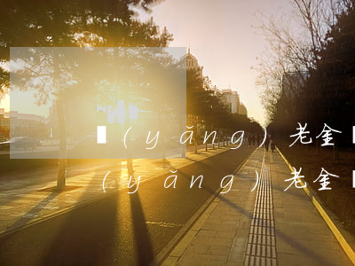 養(yǎng)老金繳費基數(shù)(養(yǎng)老金繳費基數(shù)是什么)