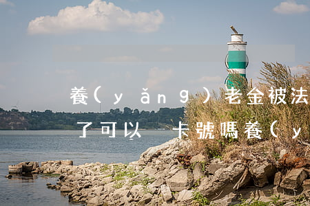 養(yǎng)老金被法院凍結(jié)了可以換卡號嗎(養(yǎng)老金被法院凍結(jié)了可以換卡號嗎)