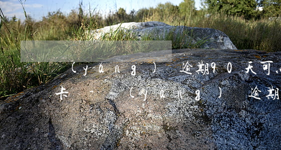 養(yǎng)貸逾期90天可以申請信用卡嗎-養(yǎng)貸逾期90天可以申請信用卡嗎
