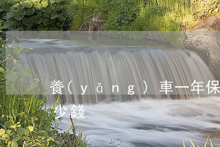 養(yǎng)車一年保險(xiǎn)多少錢