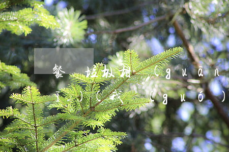 餐廚垃圾相關(guān)法律法規(guī)(我國(guó)的泔水處理有沒(méi)有相關(guān)法規(guī))