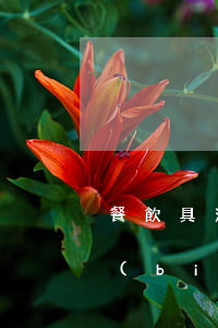 餐飲具消毒管理的法律法規(guī)和標(biāo)準(zhǔn)(國務(wù)院對(duì)消毒餐具的法律政策)