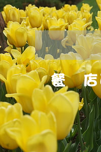餐飲店面轉(zhuǎn)讓協(xié)議