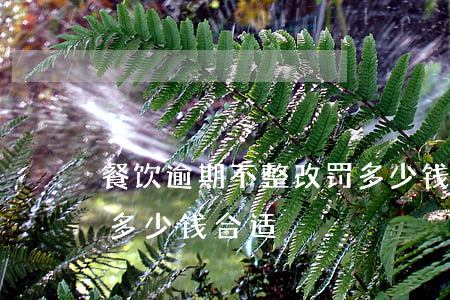 餐饮逾期不整改罚多少钱(餐饮逾期不整改罚多少钱合适)