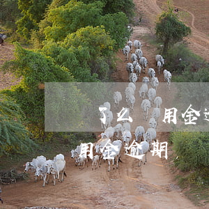 餓了么備用金逾期沒還會上門嗎-餓了么備用金逾期沒還會上門嗎知乎