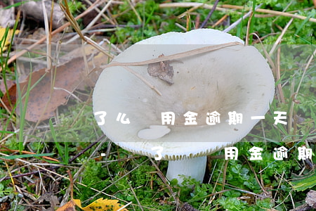 餓了么餓用金逾期一天會(huì)上征信嗎-餓了嗎餓用金逾期3天有什么影響?