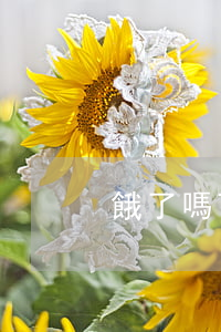餓了嗎百信銀行逾期