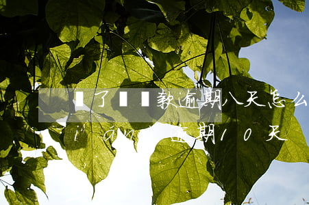 餓了嗎貸款逾期八天怎么辦 餓了嗎借錢(qián)逾期10天