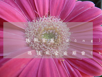 餓用金當(dāng)天還款顯示逾期(餓了嗎餓用金逾期會(huì)怎樣)